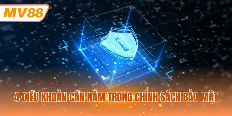 4 điều khoản cần nắm trong chính sách bảo mật